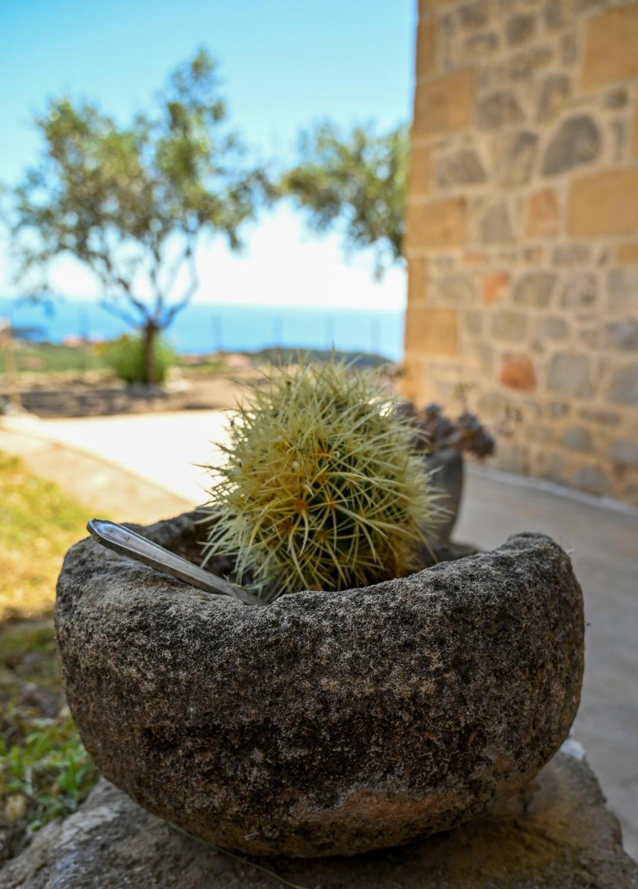 Athina'S Stone House In Kardamyli 빌라 외부 사진