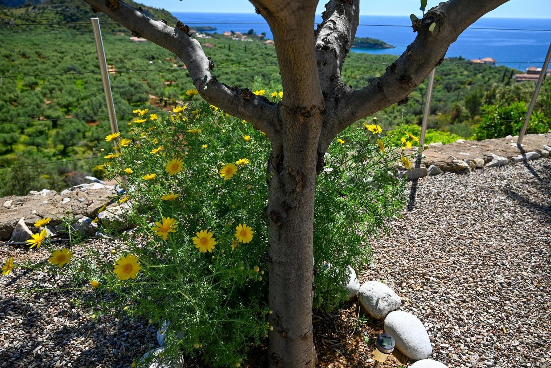 Athina'S Stone House In Kardamyli 빌라 외부 사진