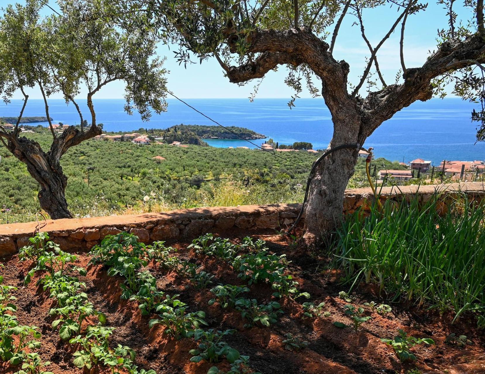 Athina'S Stone House In Kardamyli 빌라 외부 사진