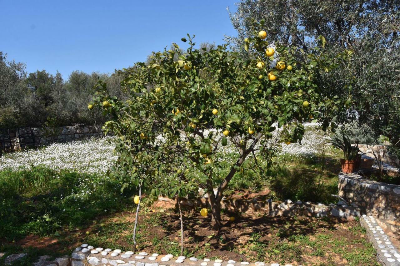 Athina'S Stone House In Kardamyli 빌라 외부 사진